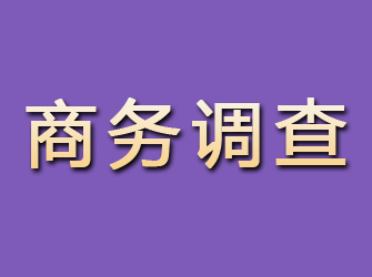 兴宁商务调查